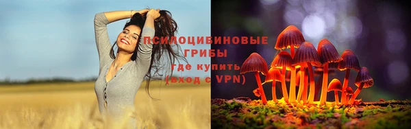 дурь Белокуриха